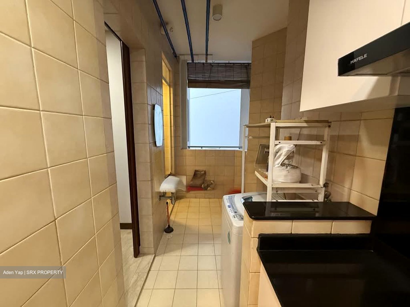 Compass Heights (D19), Apartment #537862191